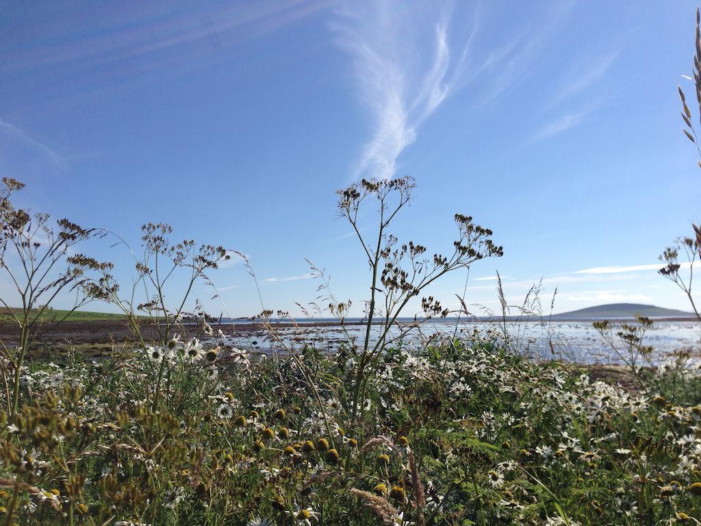 Woodwick House Bed & Breakfast Orkney Ngoại thất bức ảnh